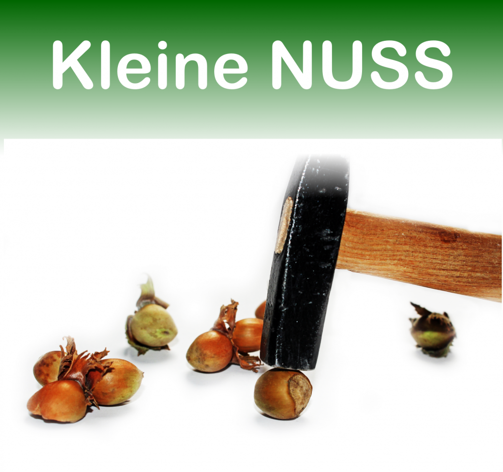 Titelbild Kleine NUSS
