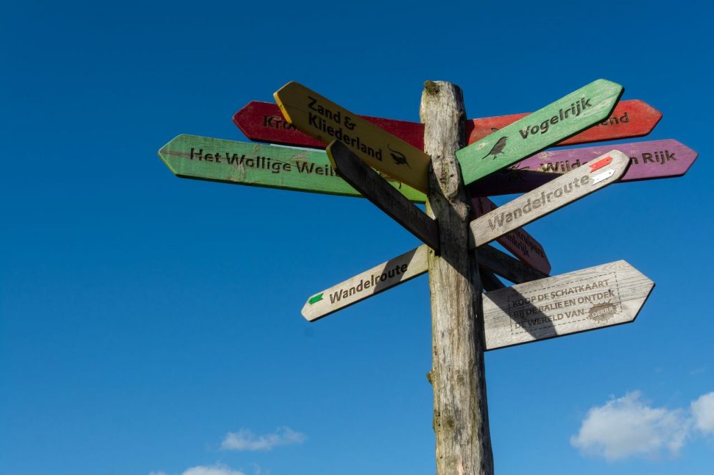 A vibrant wooden signpost with multiple directions against a clear blue sky.